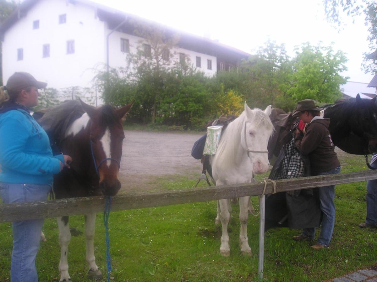 Gasthaus Zum Spaeth Englmannsberg Extérieur photo